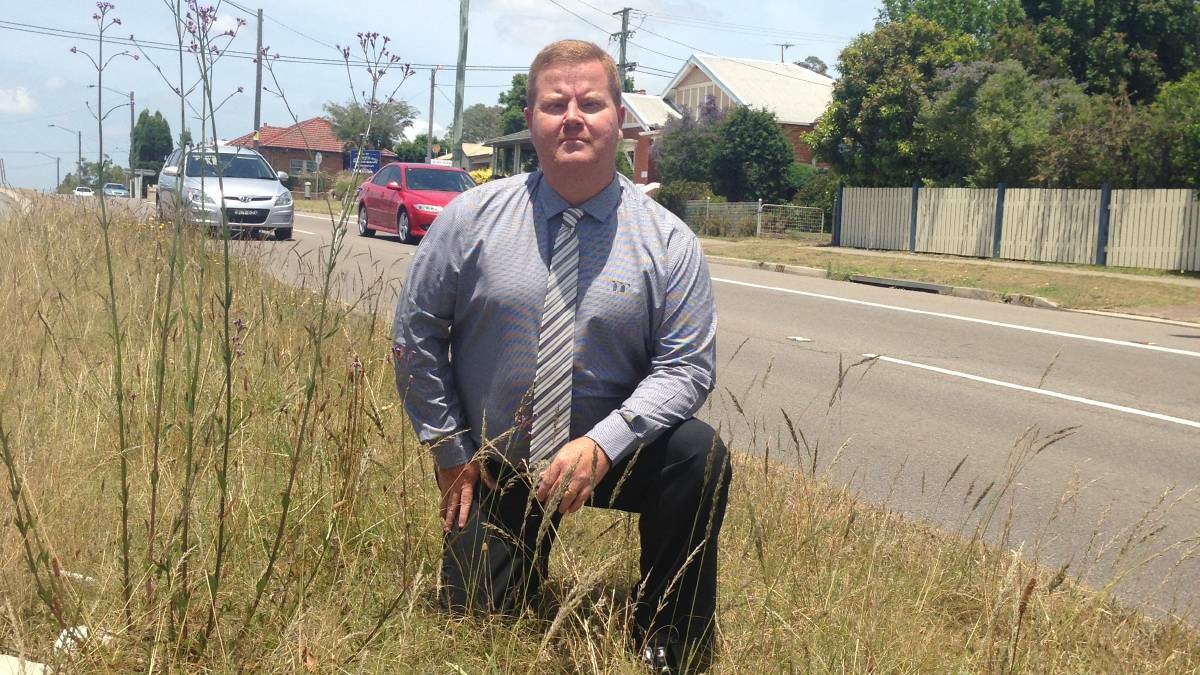 Maitland councillor Philip Penfold pictured with an overgrown median strip on the New England Highway at East Maitland.