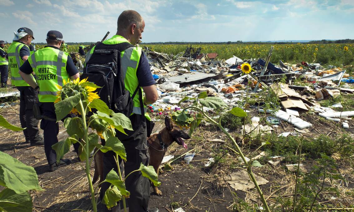 Some of the wreckage of Malaysia Airlines flight MH17 was strewn across paddocks of sunflowers when it was shot down over eastern Ukraine on July 17, 2014. Picture by AFP