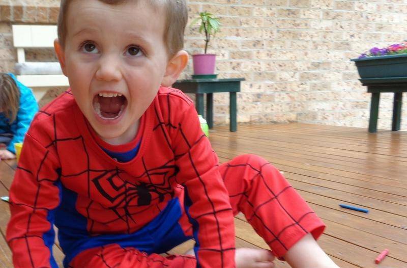 Three-year-old William Tyrrell was last seen wearing a Spider-Man suit in the garden of his foster grandmother's home in Kendall in 2014.