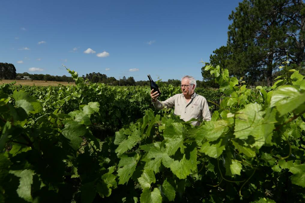20 YEARS: Peter Went's cellar door at Branxton, Pierre's, specialises in sparkling wine and has been remarkably successful considering its distance from most of the other cellar doors. Picture Jonathan Carroll 
