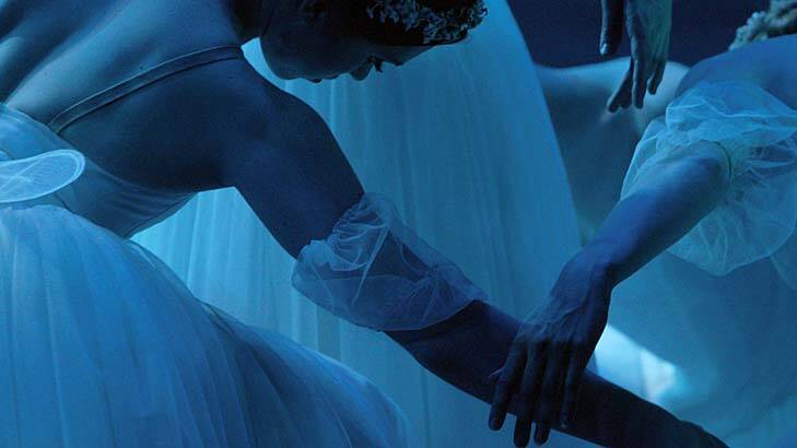 Ballet: no longer just for children or professionals. Photo: Michele Mossop
